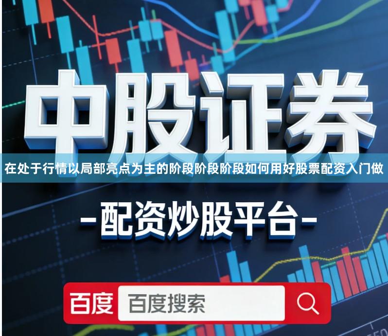 在处于行情以局部亮点为主的阶段阶段阶段如何用好股票配资入门做