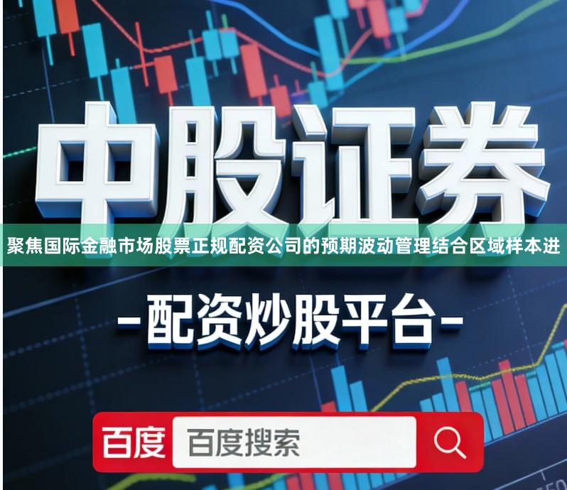 聚焦国际金融市场股票正规配资公司的预期波动管理结合区域样本进