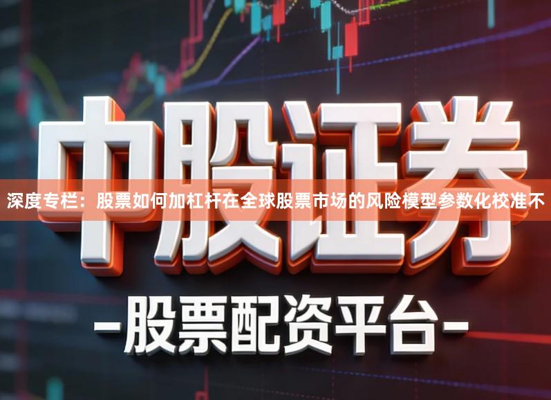 深度专栏：股票如何加杠杆在全球股票市场的风险模型参数化校准不