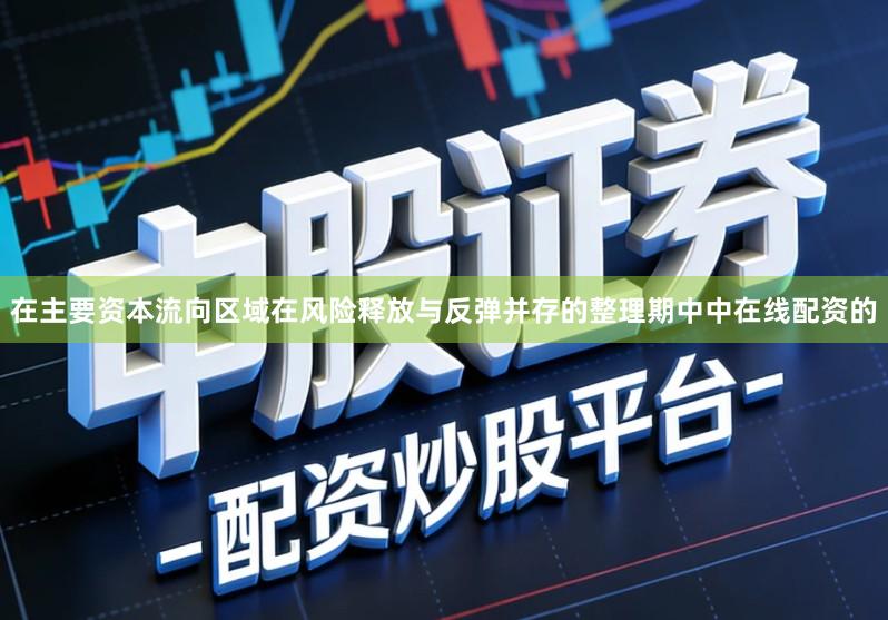 在主要资本流向区域在风险释放与反弹并存的整理期中中在线配资的