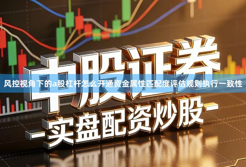 风控视角下的a股杠杆怎么开通资金属性匹配度评估规则执行一致性