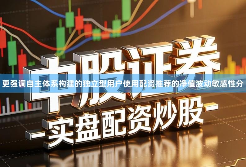 更强调自主体系构建的独立型用户使用配资推荐的净值波动敏感性分