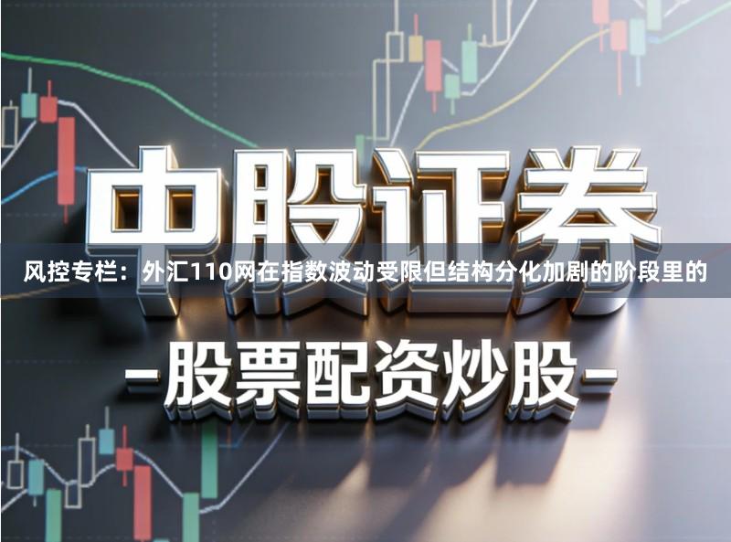 风控专栏：外汇110网在指数波动受限但结构分化加剧的阶段里的
