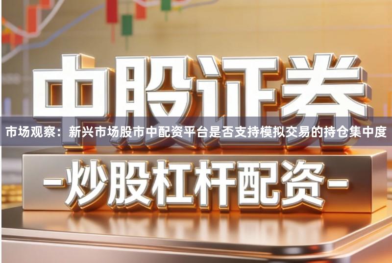 市场观察：新兴市场股市中配资平台是否支持模拟交易的持仓集中度